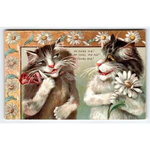 Humorous Fluffy Love Cats Tuck Series 122 M. Boulanger Romantic Sweet Kittens